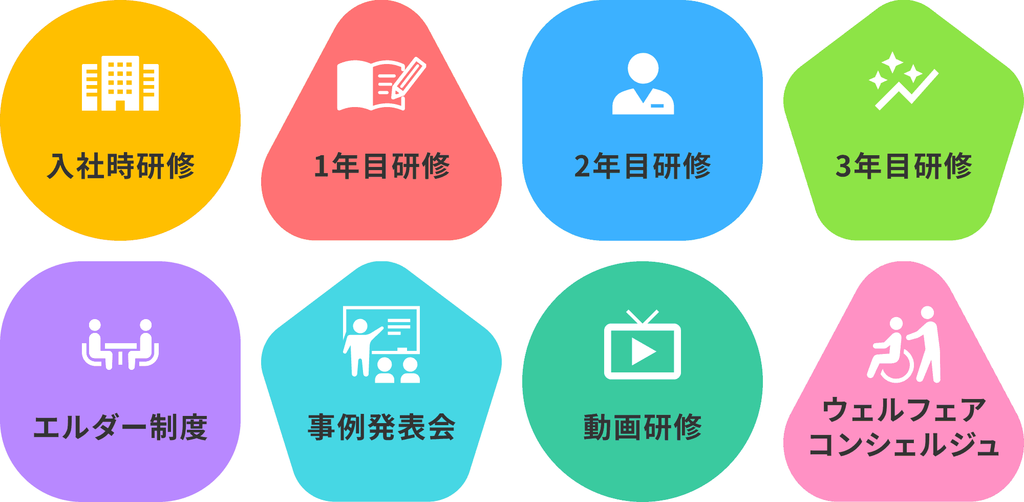 研修制度 入社時研修・1年目研修・2年目研修・3年目研修・エルダー制度・事例発表会・動画研修・ウェルフェアコンシェルジュ